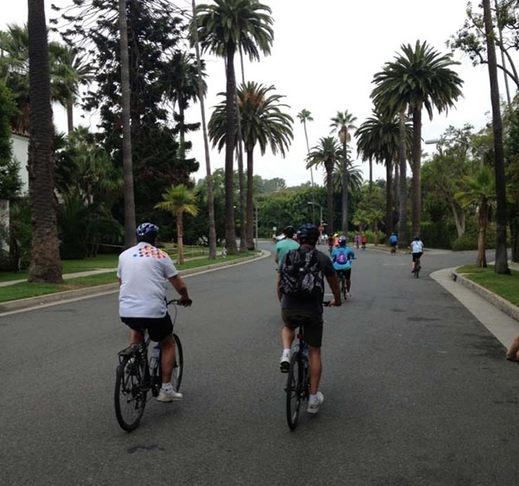 beverly-hills-star-homes-loop