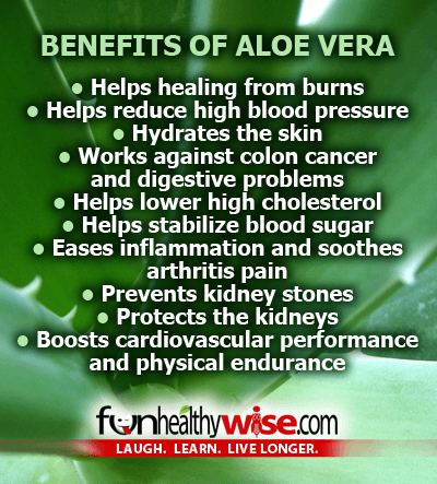 aloe vera live a healthy lifestyle aloe vera live a healthy lifestyle