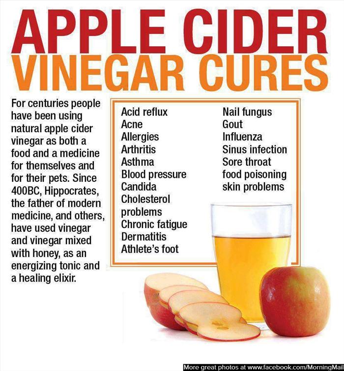 apple cider vinegar live a healthy lifestyle apple cider vinegar live a healthy lifestyle
