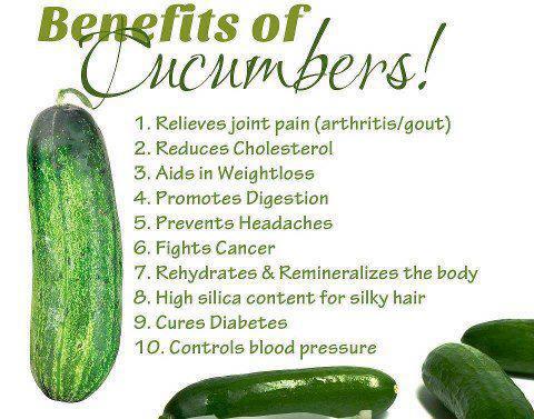 cucumber benefits tips to live a healthy lifestyle cucumber benefits tips to live a healthy lifestyle