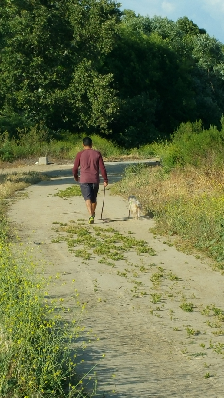 man walking dog down trail