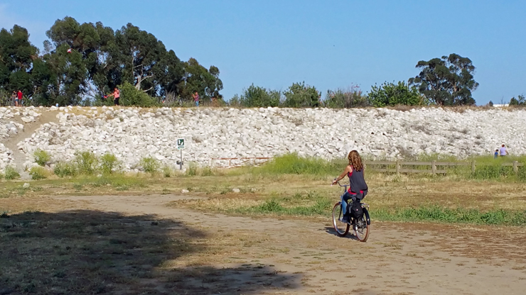 biking on a nice sunny day