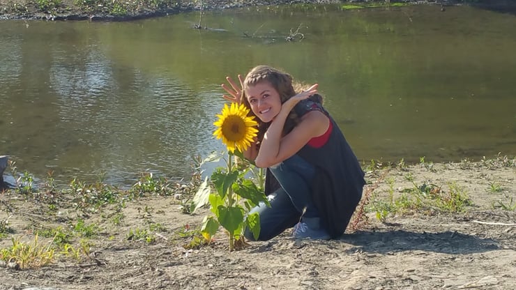 sunflower by the stream