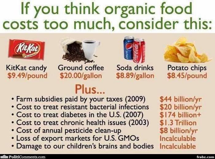 organic food vs junk food costs food cost tips to live a healthy lifestlye