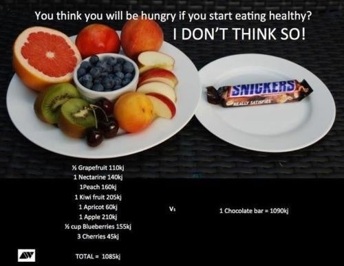 hungry tips to live a healthy lifestyle hungry tips to live a healthy lifestyle