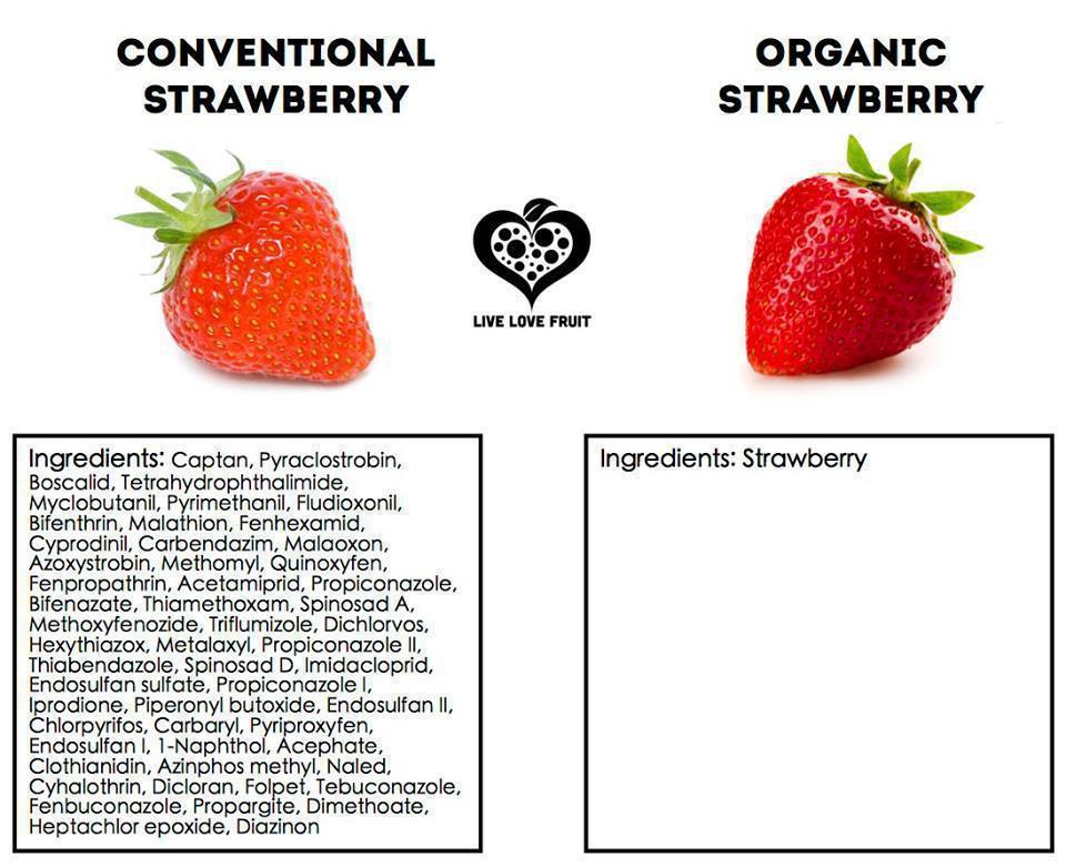 organic vs chemical healthy lifestyle organic vs chemical healthy lifestyle