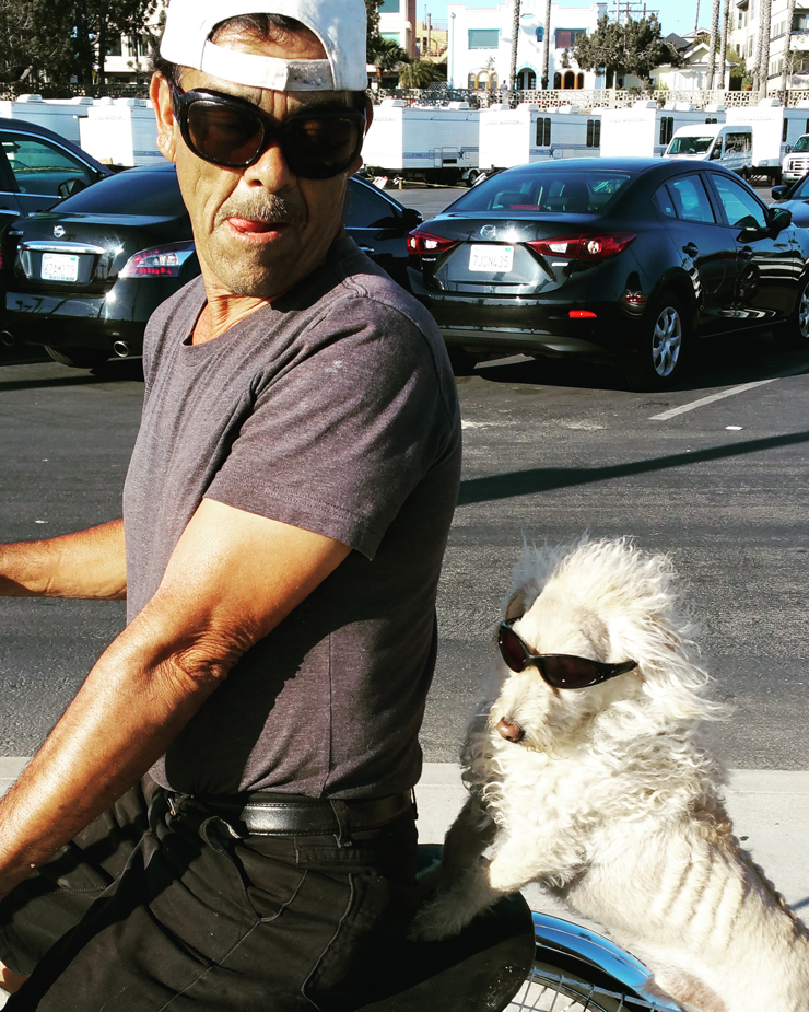 bike with dog