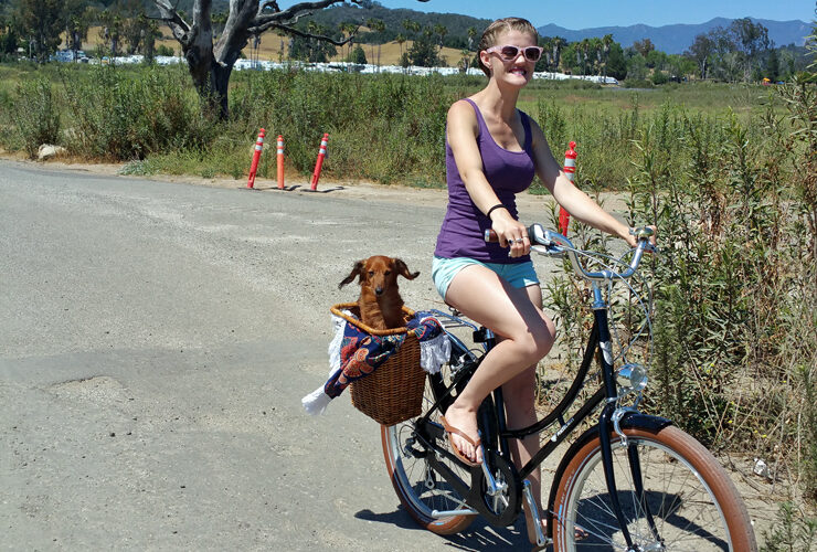 biking with dogs