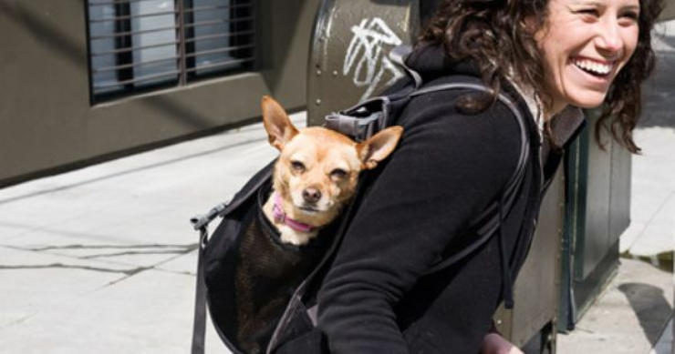 Clifford Canine Carrier Clifford Canine Carrier