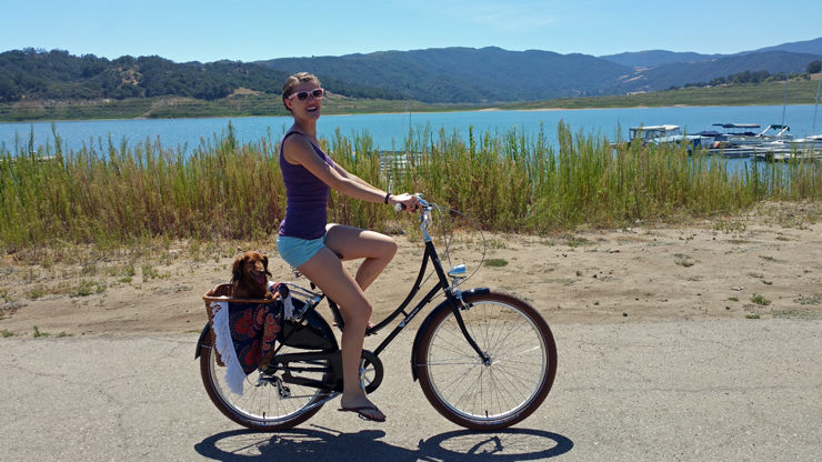 go for a bike ride