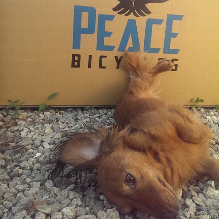 Peace Bicycles bicycles online box