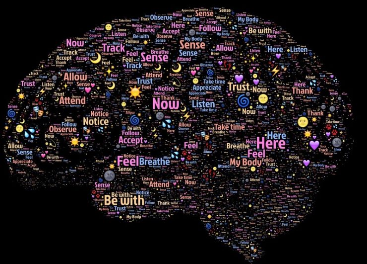 active brain the brain benefits from bicycling