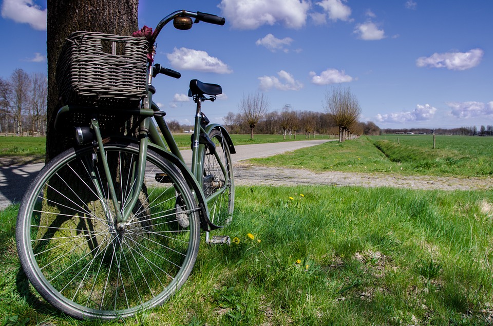 green vintage beach cruiser with basket