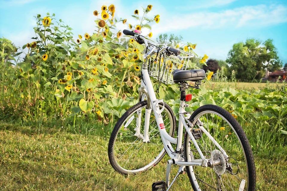 white vintage beach cruiser with basket
