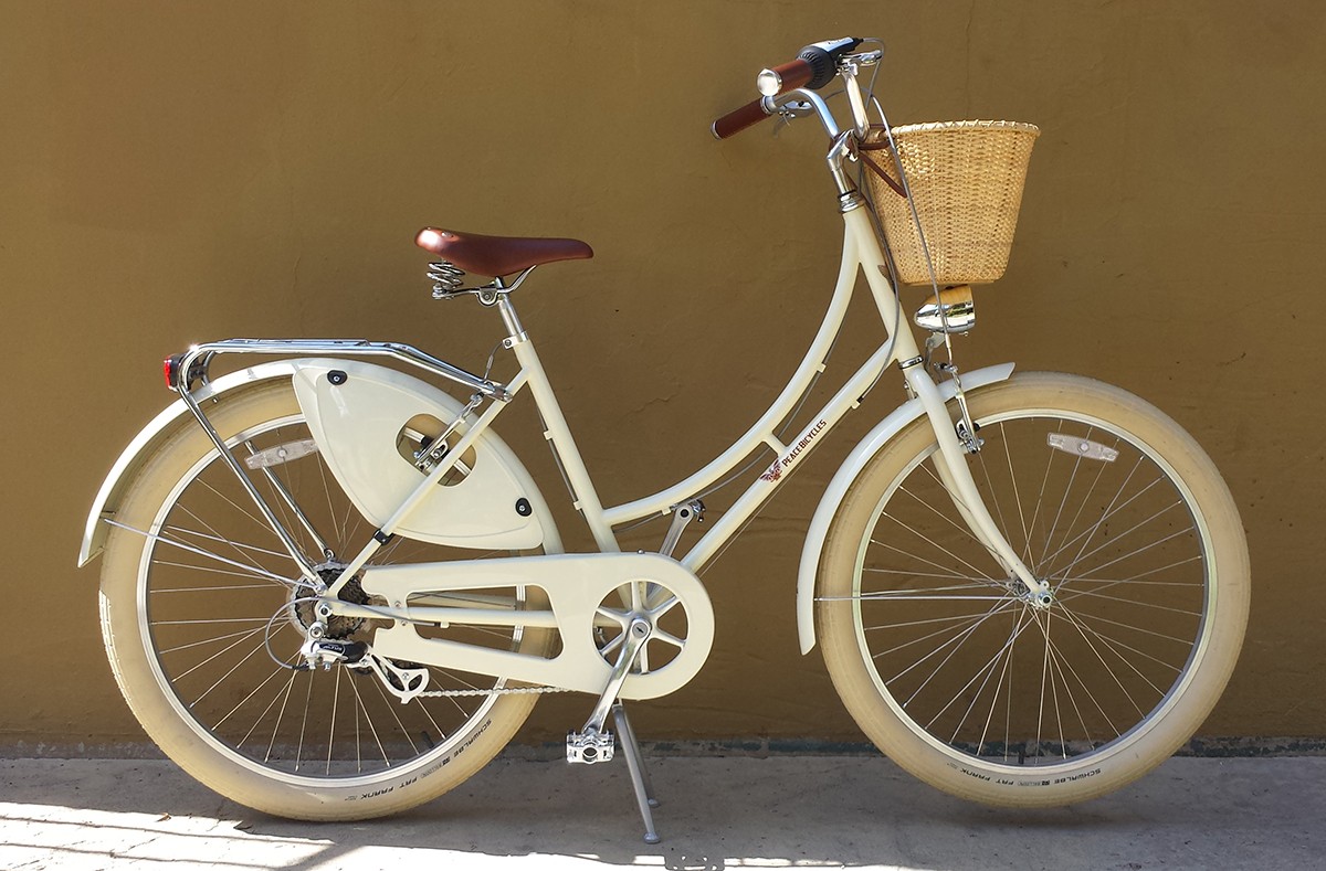 double kickstand on amsterdam bike