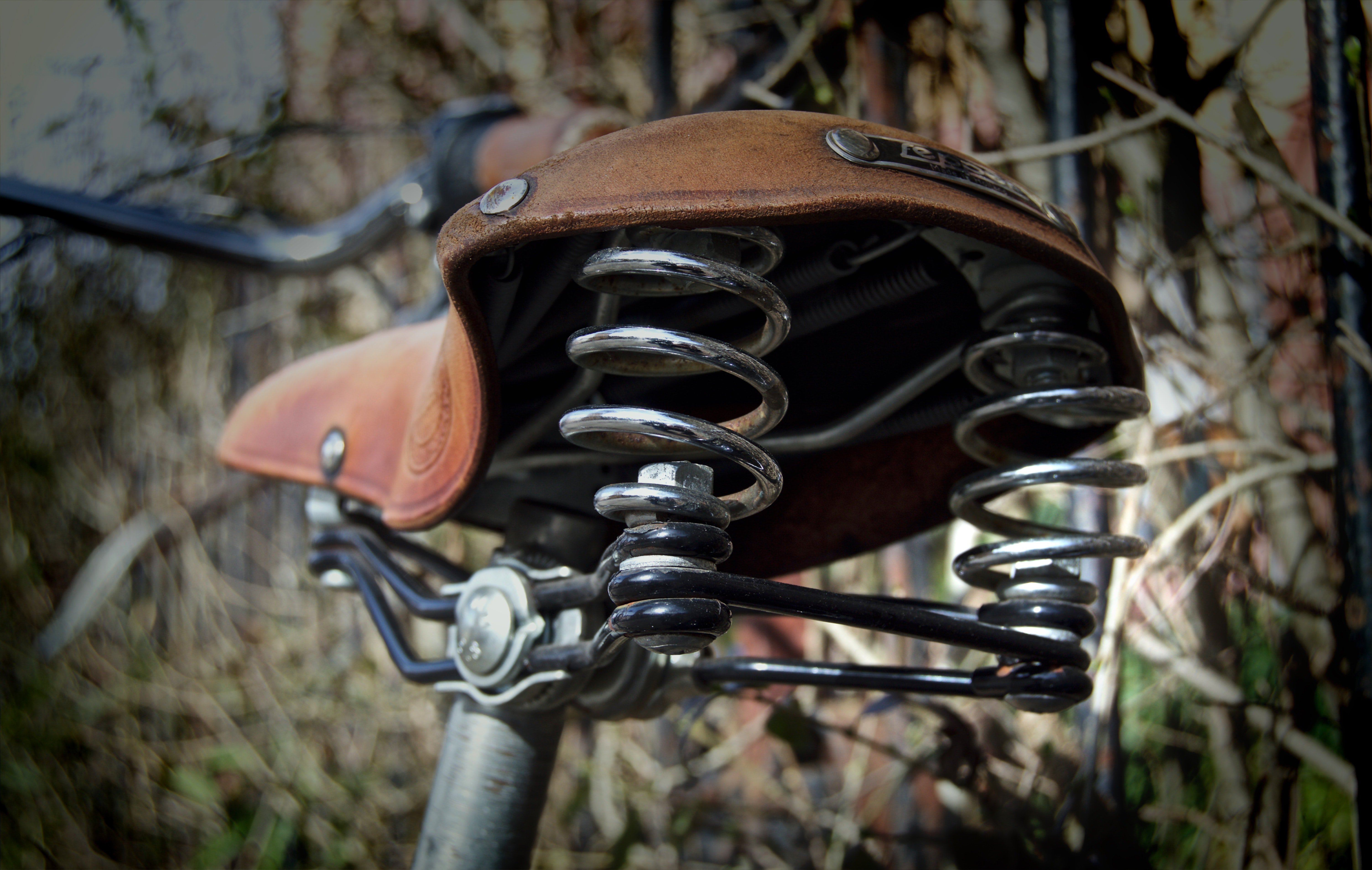 comfortable saddle on bikes for seniors